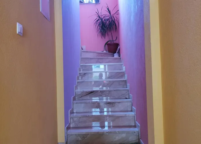 Mia ماكارسكا